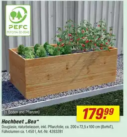 toom Baumarkt Hochbeet bea Angebot