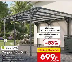 Netto Marken-Discount Juskys carport Angebot