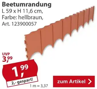Beetumrandung