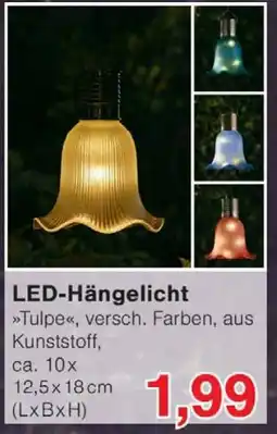 Wiglo Wunderland LED-Hängelicht Angebot