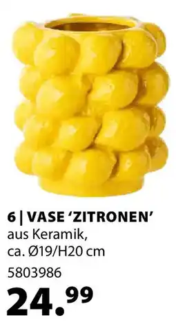 Dehner VASE 'ZITRONEN' Angebot