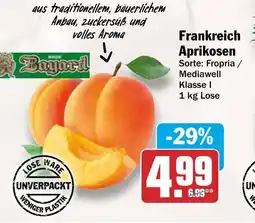 AEZ Frankreich Aprikosen Angebot
