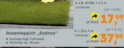 Globus Baumarkt Rasenteppich „,Sydney" Angebot