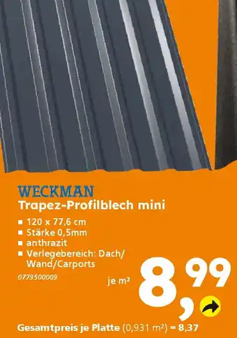 Globus Baumarkt WECKMAN Trapez-Profilblech mini Angebot