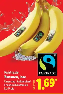 Lidl Fairtrade Bananen, lose Angebot