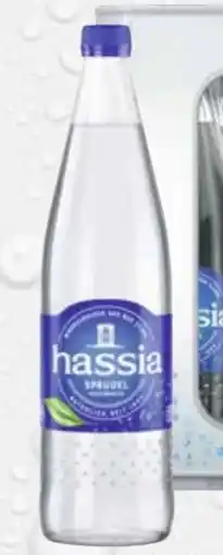 trinkgut Hassia Mineralwasser Angebot