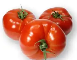 Scheck-in-Center Fleischtomaten Angebot