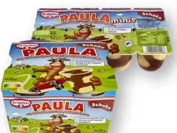 Scheck-in-Center Dr. Oetker Paula Vanille-Pudding Angebot