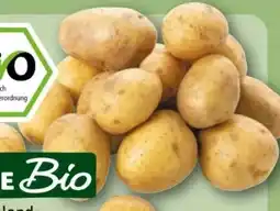 REWE Center Rewe Bio Speisekartoffeln Drillinge Angebot