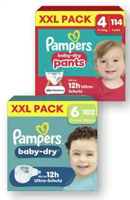 Scheck-in-Center Pampers Baby Dry Windeln XXL Angebot
