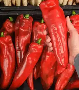 REWE Center Rewe Beste Wahl Rote Spitzpaprika Sweet Palermo Angebot