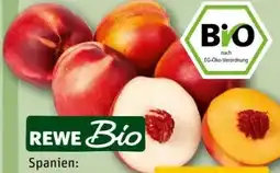 REWE Center Rewe Bio Nektarinen Angebot