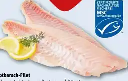 REWE Center Rotbarsch-Filet Angebot