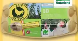 REWE Center Hessen Ei Bio Eier Angebot