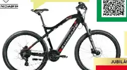 BayWa Bau & Garten Zündapp E-Bike MTB Z898 Angebot