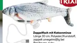 BayWa Bau & Garten Trixie Zappelfisch Angebot