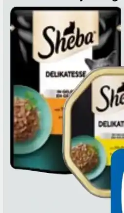 Edeka Xpress Sheba Katzennahrung Angebot
