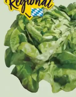 Edeka Xpress Kopfsalat Angebot