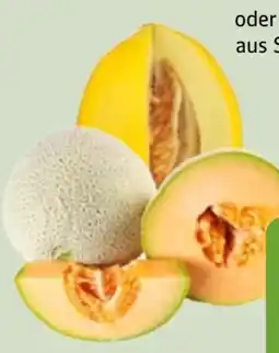 Edeka Xpress Cantaloupe Melone Angebot