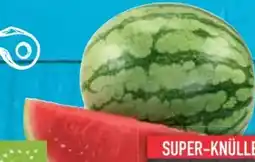 E-Center Bio-Mini-Wassermelone Angebot