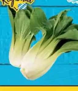 E-Center Mini Pak-Choi Angebot