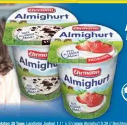 E-Center Ehrmann Almighurt Angebot