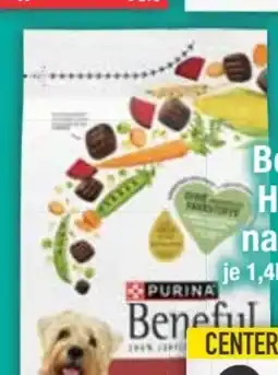 E-Center Purina Beneful Hundenahrung Angebot