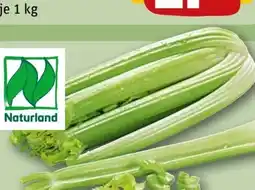 REWE Center Rewe Bio Staudensellerie Angebot