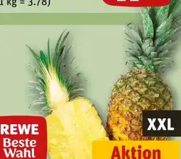 REWE Center Rewe Beste Wahl Gold Ananas Extra Sweet XXL Angebot