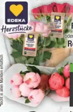 E-Center Edeka Herzstücke Romantische Pfingstrosen Angebot