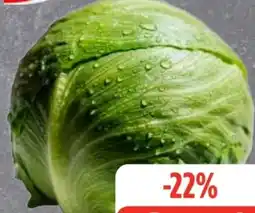 Edeka Frischemarkt Gut & Günstig Eisbergsalat Angebot