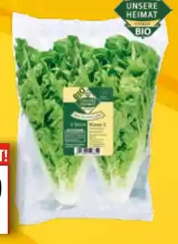 EDEKA Bandelt Unsere Heimat Bio Salatherzen Mini Romana Angebot
