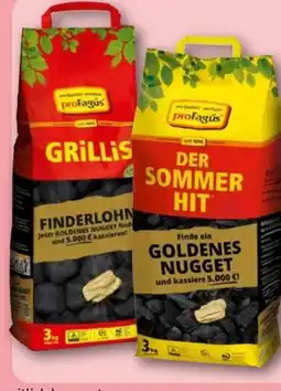 REWE Center proFagus Grill-Holzkohle Angebot