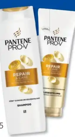 Budni Pantene Pro-V Shampoo Angebot