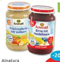 Budni Alnatura Bio-Fruchtgläschen Angebot