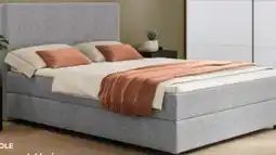 porta Quartier Möbel BOXSPRINGBETT MISTER Angebot