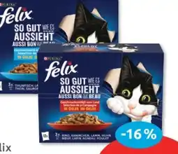 Budni Purina Felix Katzennahrung Angebot