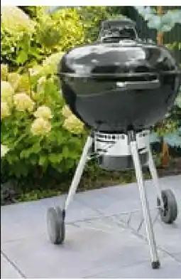 Hellweg Rothmann Kohlegrill Kettle R-57 Angebot