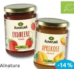 Budni Alnatura Bio Fruchtaufstrich Erdbeere Angebot
