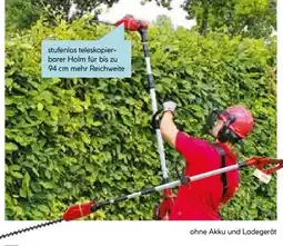 Hellweg Einhell Akku-Teleskop-Heckenschere GE-HH 18/45 Li T Solo Angebot