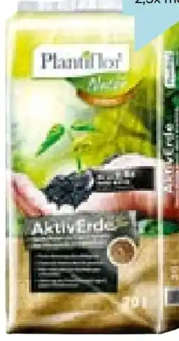 Hellweg Plantiflor AktivErde Angebot