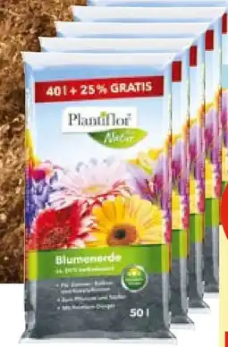 Hellweg Plantiflor Blumenerde Angebot