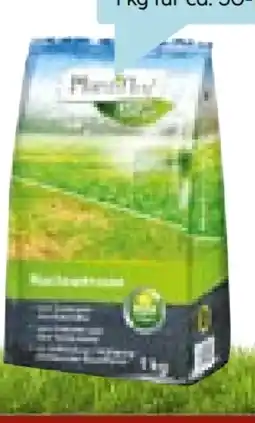 Hellweg Plantiflor Reparatur-Nachsaatrasen Angebot