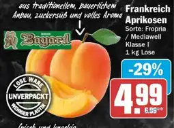 HIT Frankreich Aprikosen Angebot
