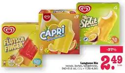 Scheck-in-Center Langnese Eis Angebot