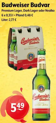 Getränke Hoffmann Budweiser Budvar Angebot