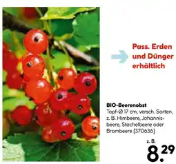 Hellweg Bio-beerenobst Angebot