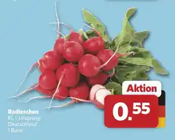 Combi Radieschen Angebot