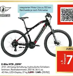 Hellweg E-bike mtb z898 Angebot