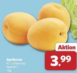 Combi Aprikosen Angebot